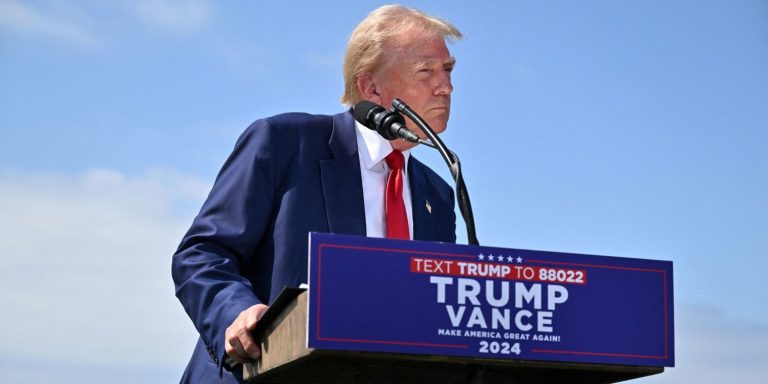 moins de taxes plus de droits de douanes la recette economique du futur president trump le212 News