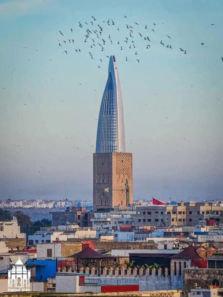 حين يتحاور الحجر مع الزجاج WhatsApp Image 2026 04 17 at 00.10.43 le212 News